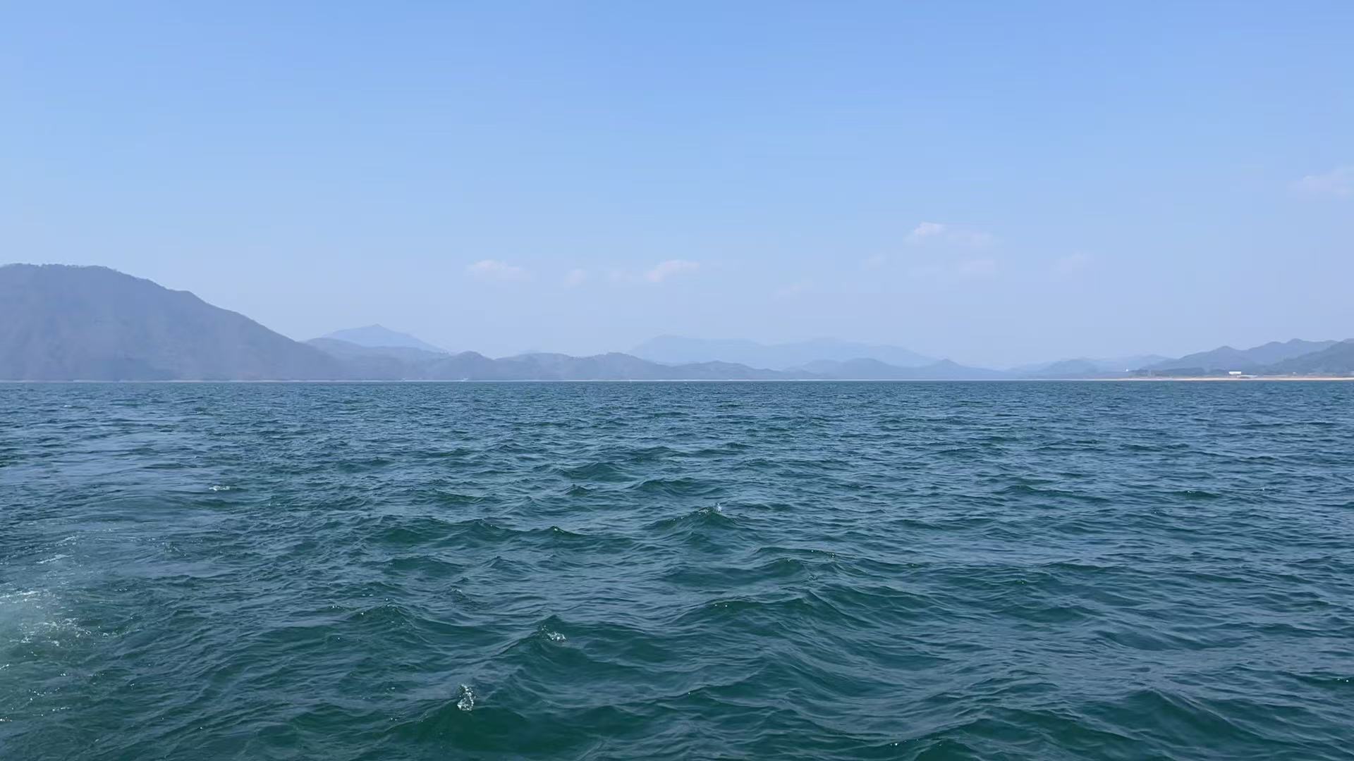 ĳ��Ժ�M����ĳ��˾�ə��Ŀ